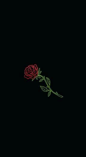 Supreme Floral Wallpaper Group