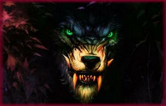 Wallpaper Night Wolf Grin Loner Image For Desktop Section