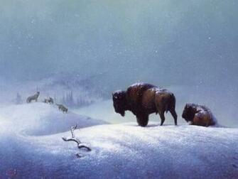Buffalo Wallpaper Desktop Background For HD Wall
