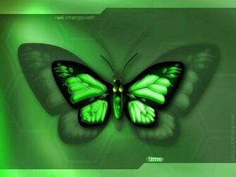 Live Butterfly Wallpaper Beautiful Desktop