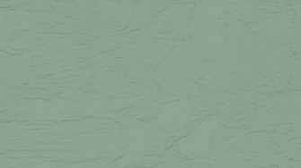 Green Screen Wallpaper
