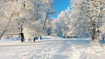 Winter Scenery Desktop Wallpaper High Definition