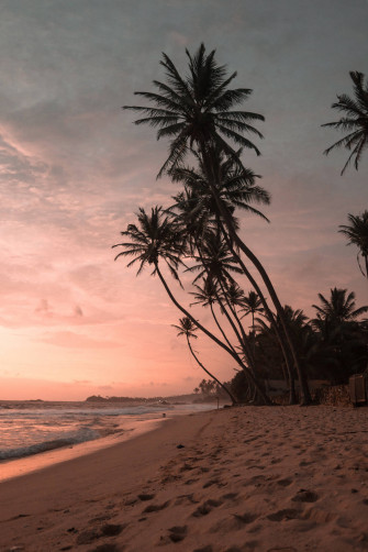 Tropical Island Scenery For iPhone Screens Wallpaper