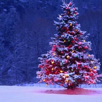 Christmas Tree iPad Wallpaper iPhone