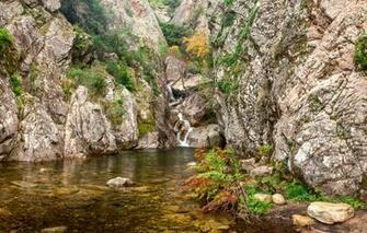 Wallpaper Stream Stones Rocks France Waterfall The Bushes