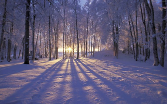 Alaska Winter Desktop Screensavers