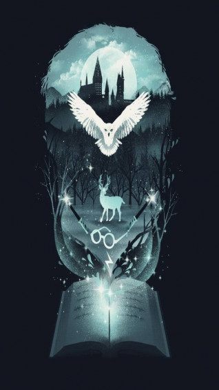 Fantasy Artwork Harry Potter Hogwarts iPhone Wallpaper