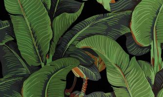 Banana Leaf Wallpaper