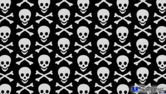 Skull Crossbones Pattern Decal Style Skin Fits Sony Ps Vita