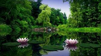 Green Nature Wallpaper HD