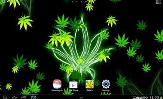 Tapety Reggae Hawaii Dermatology Picture Smartfren Andromax