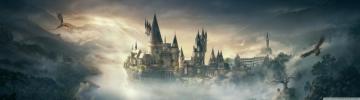 Harry Potter Dual Wallpaper On
