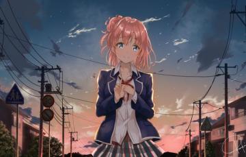 Wallpaper The Sky Girl Evening Schoolgirl Yuigahama Yui