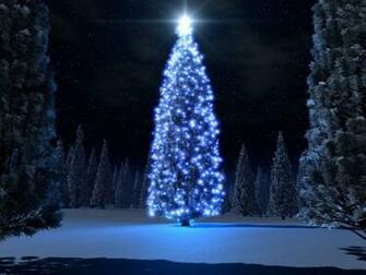 Magnificent Christmas Tree Computer Desktop Wallpaper Pictures