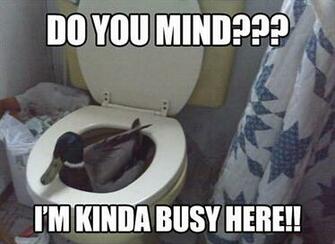 Funny Animals With Captions Background Wallpaper