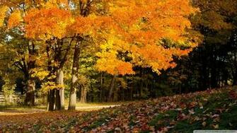 Fall Scene Wallpaper