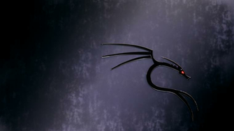 Kali Linux Wallpaper By Blur212