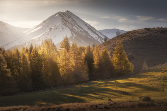 Mountain Sunrays At Castle Hill Gift Print Newzealandscapes