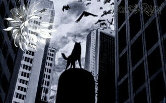 Wolf S Rain Wr Wallpaper
