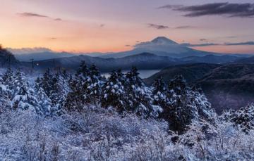 Wallpaper Winter Frost Forest Mountains Branches Hills The