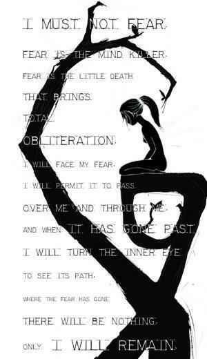 Litany Against Fear By S N A P