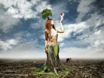 Tree Of Life X Wallpaper Gallery