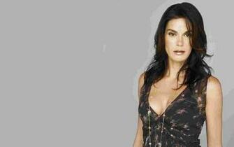 Teri Hatcher Wallpaper Celebrities