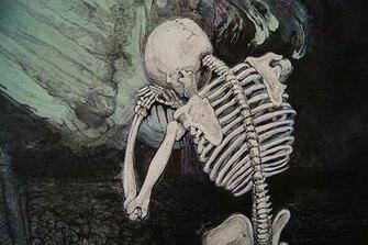 Skeleton Background Backrounds