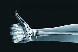 The Radiology Is Most Often Organized Into Sections Type Of