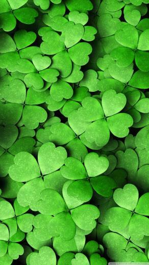 Four Leaf Clover Wallpaper Top