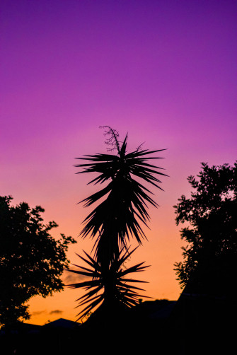Neon Purple iPhone Sunset Wallpaper