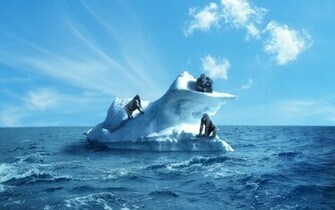 Gorillas On Iceberg Widescreen Wallpaper