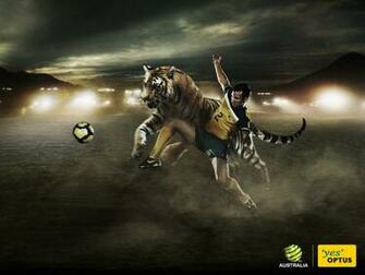 Tim Cahill Wallpaper Gallery Of Football Matches