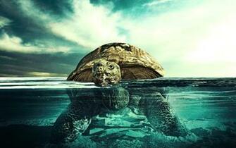 Underwater HD Wallpaper Desktop Background