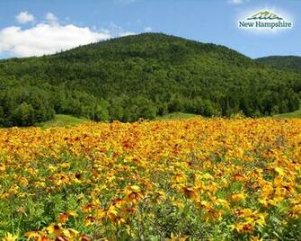 State Of New Hampshire Visitors Tour Operators Media