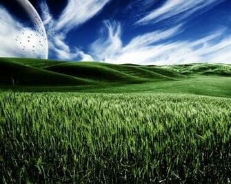 Summer Fields Wallpaper IwallHD HD