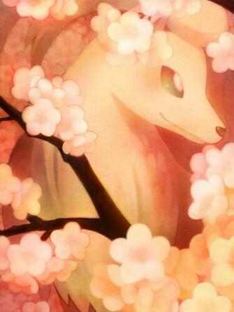 Ninetales Wallpaper