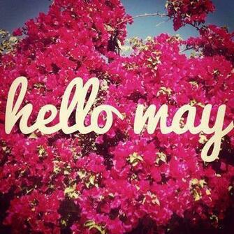 Hello May Wallpaper X3cb X3ehello X3c B X3e Flowers Quotes