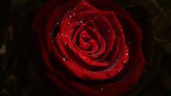 The Author And More Sizes Are Available In Water Drops On Red
