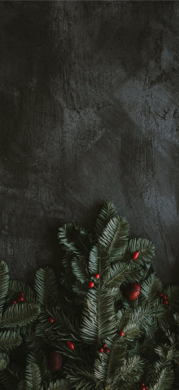 Green Leaf Tree iPhone Wallpaper