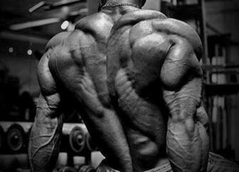 Beast Motivation Staying Motivated