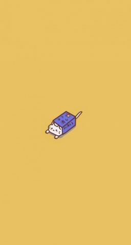 I Have No Idea Why This Cat Is So Cute Even Though It S In A Small