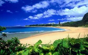 Widescreen Background Beach Wallpaper HD Background