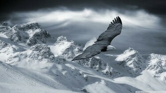 Eagle Flying Over Mountains Wallpaper Bald