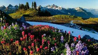 Spring In The Mountains Wallpaper