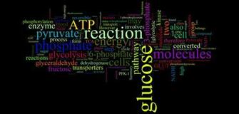 Biochemistry Wallpaper High Quality Ht71