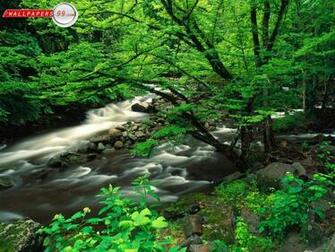 Wallpaper Smoky Mountains