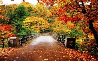 Autumn Wallpaper Sway