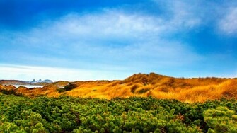Nature Landsacpe Beautiful Wallpaper Widescreen Beauty