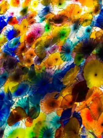 Screenheaven Dale Chihuly Desktop And Mobile